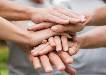 Foco na sustentabilidade é um dos pilares da Seguros Unimed