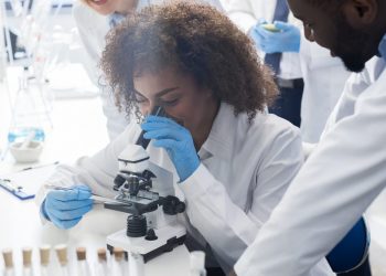 Startup realiza crowdfunding para pesquisa de novo quimioterápico contra o Glioblastoma