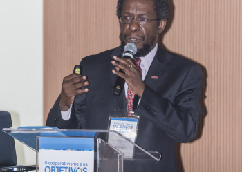 ONU destaca papel das cooperativas no desenvolvimento sustentável