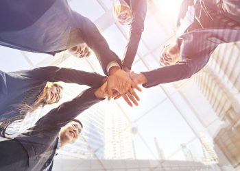 Saiba quais são os 7 princípios do cooperativismo