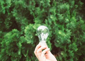 Intercâmbio mundial de cooperativas traz benefícios ao Brasil