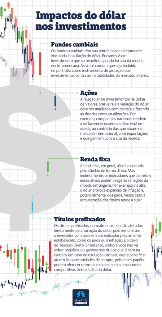  Impactos do dólar nos investimentos