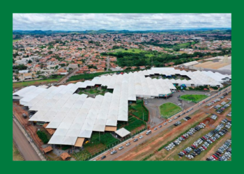 Unimed Joinville recebe renovação do selo de signatária ODS