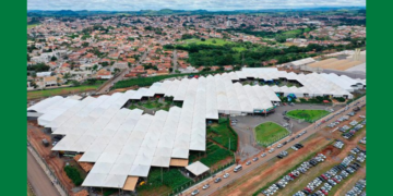 Unimed Joinville recebe renovação do selo de signatária ODS