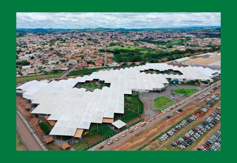 Unimed Joinville recebe renovação do selo de signatária ODS