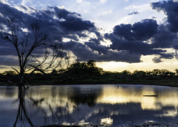 Seguros Unimed posiciona marca Unimed como referência em conservação ambiental