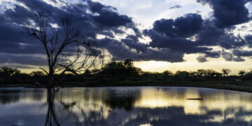 Seguros Unimed posiciona marca Unimed como referência em conservação ambiental