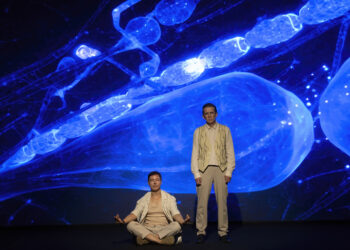 Seguradora e Instituto Unimed-BH patrocinam mostras e oficinas de arte em Belo Horizonte