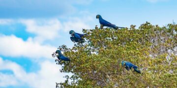 ‘Inovar não é mais opção. É condição de permanência’, reforça Helton Freitas