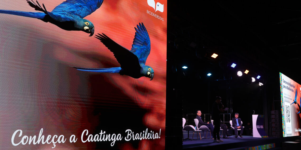 ‘Um convite para refletirmos sobre o Brasil que queremos’, declara presidente da Seguros Unimed