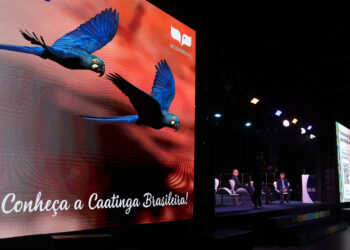 ‘Um convite para refletirmos sobre o Brasil que queremos’, declara presidente da Seguros Unimed